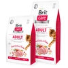 Image de Brit Nourriture Pour Chats Care Grain Free Activity Support Adult 2kg
