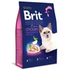 Image de Brit Nourriture Pour Chats Adultes Premium By Nature Poulet 8kg