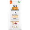 Image de Brit Nourriture Pour Chien Care Hypoallergénique Junior Grande Race Agneau 12kg