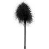 Image de Plumeau à chatouilles Noir 27cm