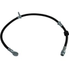 Image de Remslang BBH5573 Kavo parts