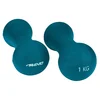 Image de Avento Haltère 1kg Weight 2 Units