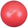 Image de Avento Fitball Gymnastics