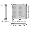 Image de Radiateur DRM21105 Denso