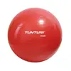 Image de Tunturi Fitball Gym Ball