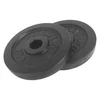 Image de Tunturi Disque De Poids 2.5kg