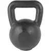 Image de Tunturi Kettlebell 20kg