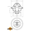 Image de Thermostaat koelvloeistof 725169 NRF