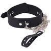 Image de Collier et Laisse Deluxe Collar Noir