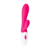 Image de Aurora Vibe Rabbit Vibrator