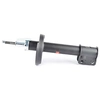 Image de Schokdemper BSG65300004 BSG