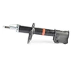 Image de Schokdemper BSG65300006 BSG