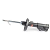 Image de Schokdemper BSG65300029 BSG
