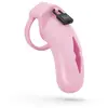 Image de LOCKDOWN - Chastity Cage Large - Roze