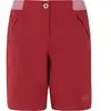Image de Protest Short Acacia