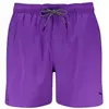 Image de Puma Short De Bain 100000031