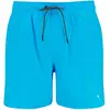 Image de Puma Short De Bain 100000031