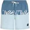 Image de O´neill Short De Bain Cali Block 15´´
