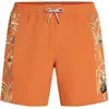 Image de O´neill Short De Bain O´riginals Side Panel 16´´