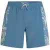 Image de O´neill Short De Bain O´riginals Side Panel 16´´
