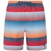 Image de Protest Short De Bain Radar