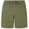 Image de Protest Short De Bain Wytona