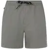 Image de Protest Short De Bain Wytona