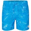 Image de Petrol Industries Short De Bain M-1050-sws959