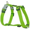 Image de Red Dingo Harnais Pour Chien Smooth