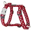 Image de Red Dingo Harnais Pour Chien Star