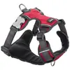 Image de Red Dingo Harnais Pour Chien Acolchado