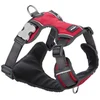 Image de Red Dingo Harnais Pour Chien Acolchado