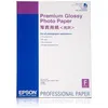 Image de Epson Premium Glossy Photo Paper papier photos Gloss
