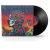 Image de Warner Music Group Grateful Dead - Gratest Hits Lp