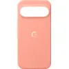 Image de Google Cover Pixel 11 Pro Xl Canyon