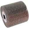 Image de Bosch - Rouleau abrasif à lamelles 19 mm K80 100 mm - 2608000598