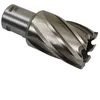Image de Fraises pour perceuse magnétique Makita HB500 (Longueur 30mm)