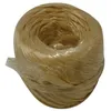 Image de Corderies Tournonaises - corderie tournonaise - Raphia synthetique beige pelote 100gr 40m env. cavalier
