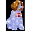 Image de Fééric Lights And Christmas - Saint bernard lumineux extérieur H38cm 40 led + transfo - Feeric lights & christmas