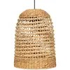 Image de Luminaire Suspension en métal et Jacinthe D 37 x H 50 cm - Atmosphera