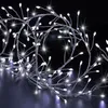 Image de Fééric Lights And Christmas - Boa lumineux extérieur 2.5m 200 led blanc froid + transfo - Feeric lights & christmas