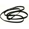 Image de Courroie pour Sèche-linge Indesit C00300793