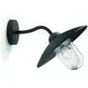 Image de Applique d'extérieur Philips Hammock - Noir - Verre transparent - IP44