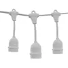 Image de Guirlande Guinguette Blanche Suspendue IP65 14,4m pour 15 Ampoules E27