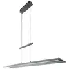Image de Fischer&honsel - Suspension Pull Lampe suspendue Lampe suspendue réglable en hauteur cct led dimmable noir