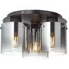 Image de Lampe Beth plafonnier 35cm noir / verre fumé 3x A60, E27, 60W, lampes normales gf non spécifiées Convient aux lampes led Dimmable lors de