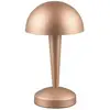 Image de Lampe de table Canaria R59561165 Rl
