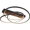 Image de Plafonnier LED TRIO Darvin 649110132 noir, 34 W, 4500 lm, CCT