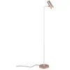 Image de Lampadaire, lampe sur pied, lampe d'appoint, lampe de salon, mobile, café, H 151 cm