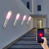 Image de Applique murale en acier inoxydable torche murale extérieur maison applique murale détecteur de mouvement, App-commande vocale minuterie 1x led rgb